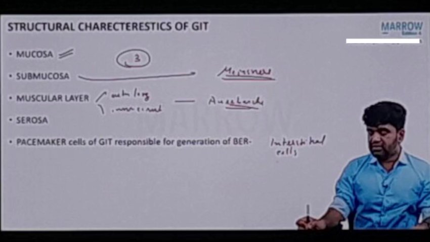 10._Stomach.mp4 - TeraBox Video