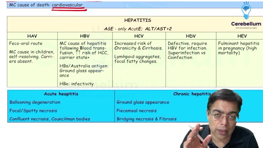 Pathology_(Quick_Revision_2.0).mp4.PART004.mp4 - Terabox Viral Link
