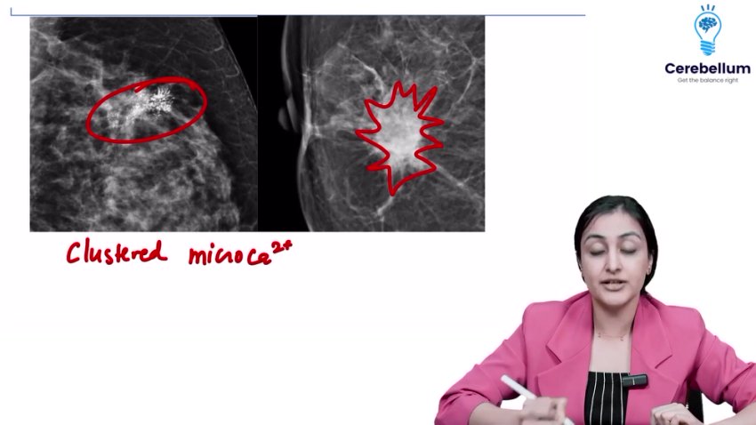 Surgery_2_Shimperd.mp4 - TeraBox Video