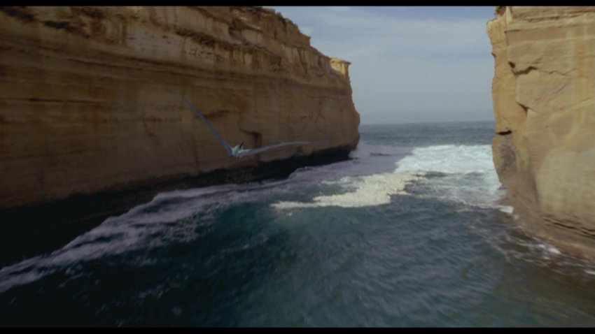 Dinosaurio.2000.WEB-DL.1080p-Dual-Lat.mkv - TeraBox Video