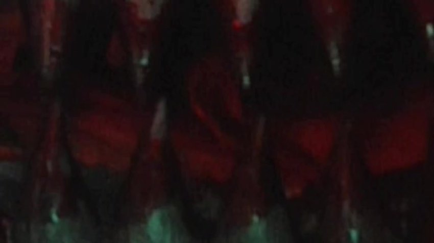 Horny_House_of_Horror_(2010)_480p_[www.uiiumovies.com].mp4 - TeraBox Video