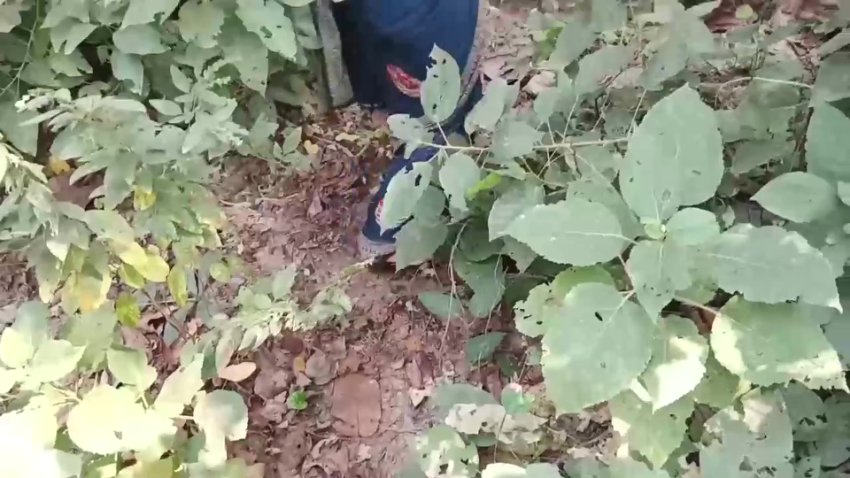Bhabhi_Ki_Jungal_Me_Chudayi.mp4 - Watch Full Video